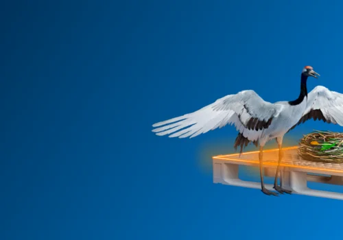 "Der Trend geht ganz klar in Richtung Nachhaltigkeit"